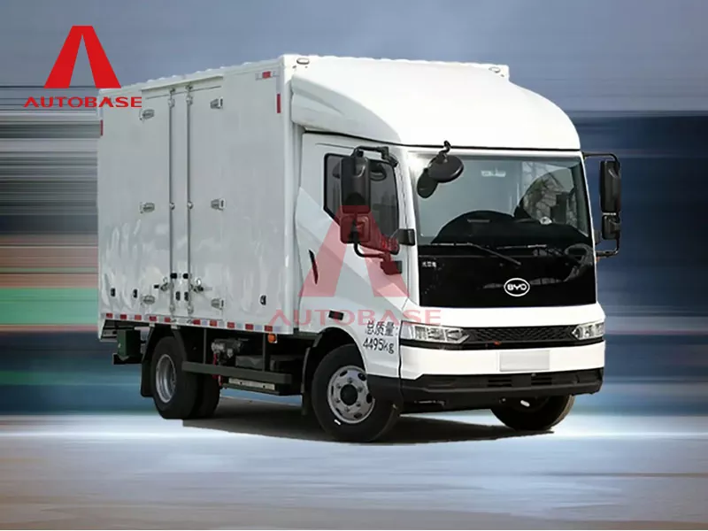 BYD T5EV PURE ELEKTORIGA